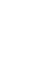 leader-icon